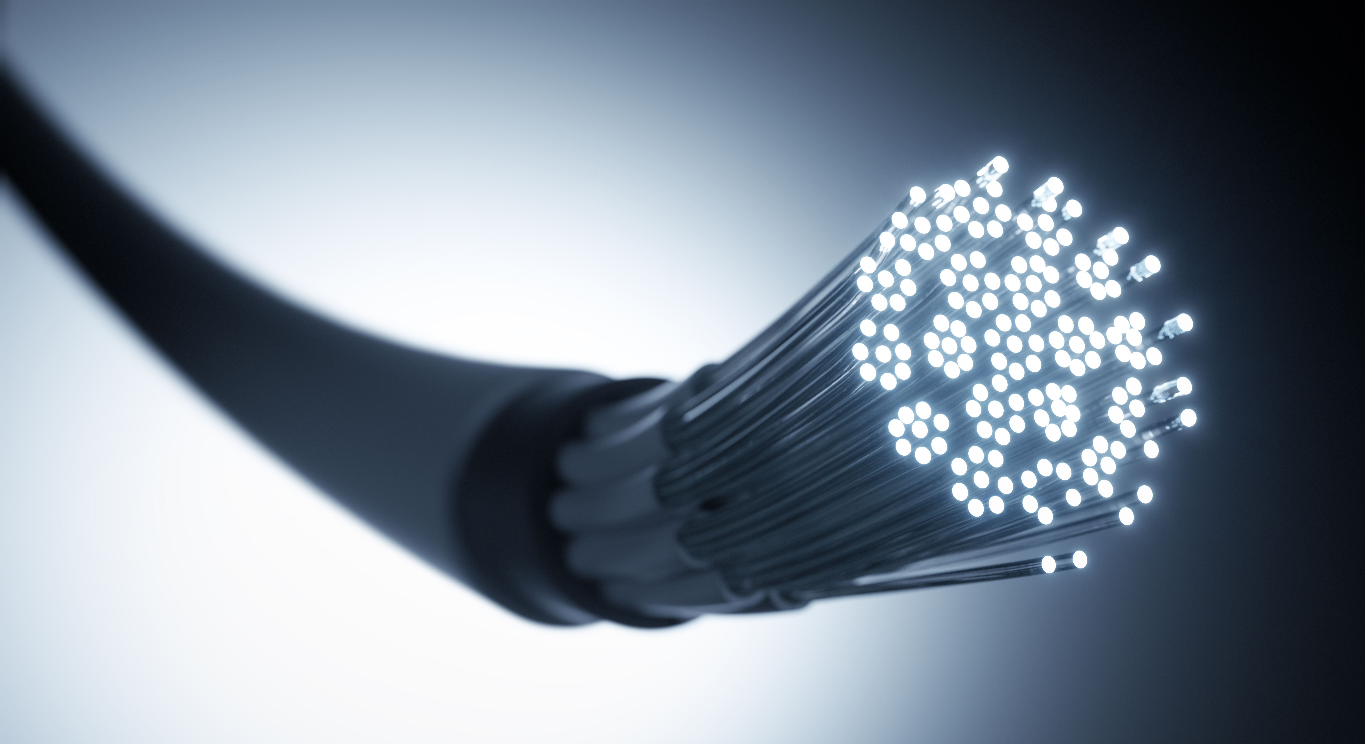 A close-up view of a fiber optic cable, with numerous thin strands of glass or plastic emitting bright points of light. The background is softly blurred, emphasizing the luminous ends of the fibers, symbolizing high-speed data transfer.
