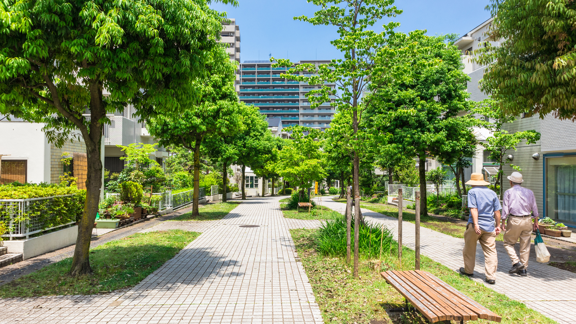 Two older men walk together along a tree-lined pathway in a vibrant green park. The path is paved with tiles, and benches are visible along the route. Surrounding buildings and lush vegetation create a serene urban atmosphere. Bright sunlight enhances the pleasant scene.