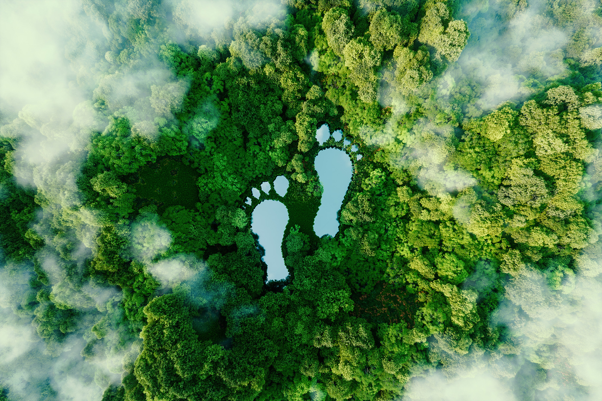 Aerial view of a vibrant green forest featuring two large footprints filled with water, surrounded by lush trees and mist. The image symbolizes the impact of human presence on nature, encouraging an eco-friendly message.