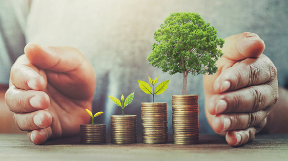 Two hands are positioned protectively around stacks of coins, each stack featuring a different stage of plant growth, culminating in a vibrant green tree at the highest stack. This imagery symbolizes the relationship between financial growth and environmental sustainability.