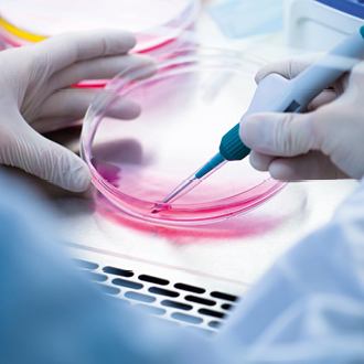 A scientist in lab gloves uses a pipette to transfer liquid into a pink petri dish. The setting suggests a sterile laboratory environment focused on scientific research or experimentation.
