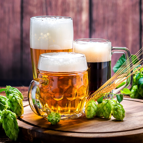 Three glasses of beer are arranged on a wooden surface, featuring a light lager, an amber ale, and a dark stout, each topped with a frothy head. Surrounding the glasses are fresh hop cones and barley, enhancing the scene's focus on beer brewing.